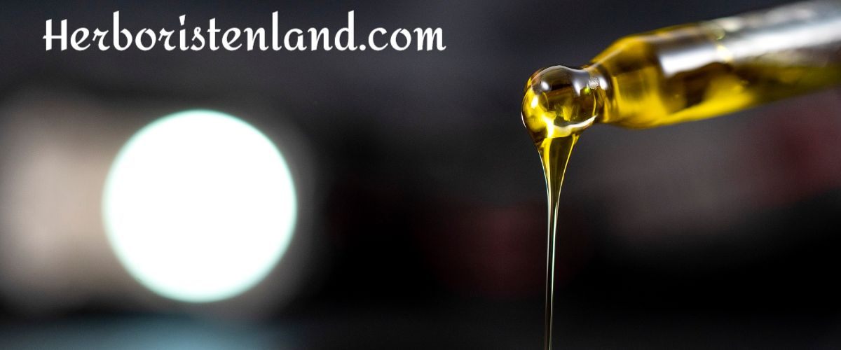 herboristenland.krutyn.eu